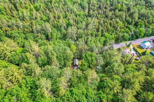 Brook Sound Cabin