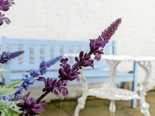 Gull Cottage - Worthing