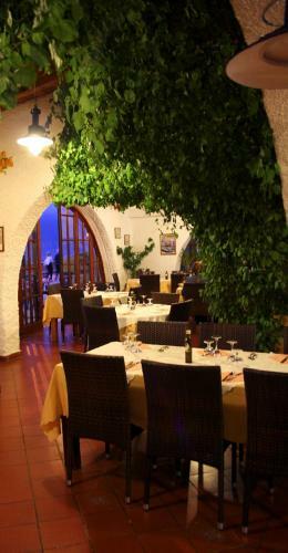 Hotel Il Delfino