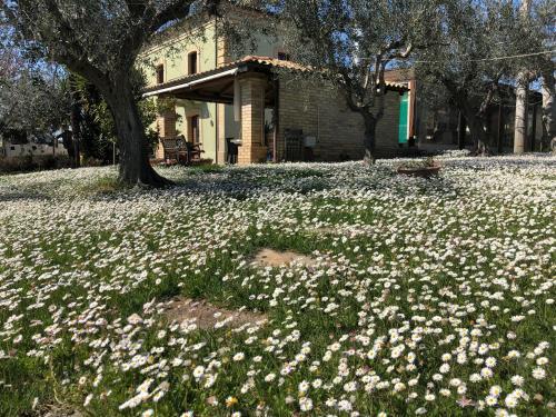 Agroturismo Villa Vetiche