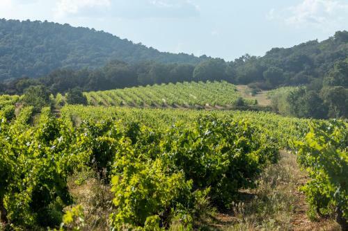 Apartamento Le Hameau
