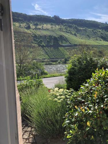 Apartamento Mosel-erker