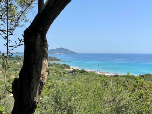 Villa Il Panorama Di Orr�