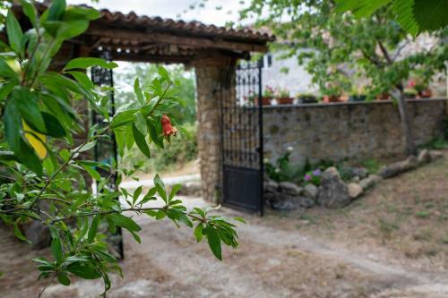 Hostal Camera A Casa Castora