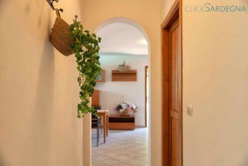 Guest House Tenute Shardana