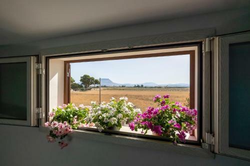 Bed & Breakfast Brezza Salina