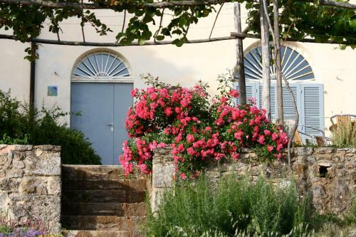 Agroturismo Podere Riparbella