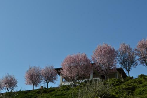 Agroturismo La Locanda Di Valbella
