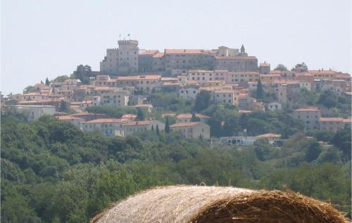 Apartamento La Selvaccia