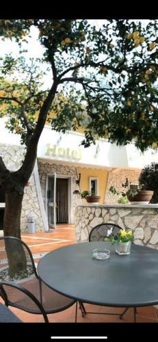Yellow Park Hotel