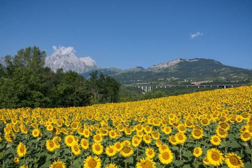 Hotel La Locanda Del Parco