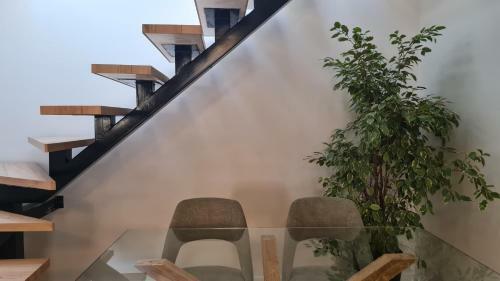 Tam Komuna E Parisit Luxury Apartment W/ Terrace