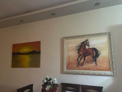 New Apartament
