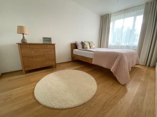 Lossipargi Apartment
