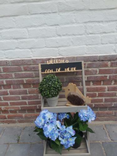 Apartamento Aan De Meipe