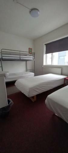 Ice Hostel