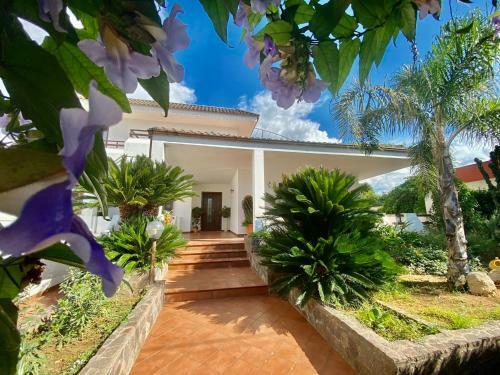 Hostal The Rosa's House
