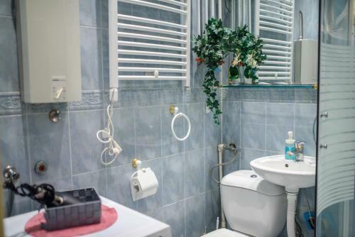 Panorama Central - Luxurious Apartments