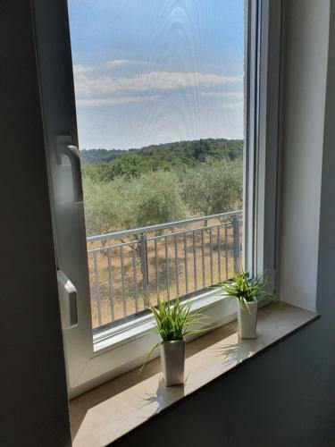 Apartma Zdenko