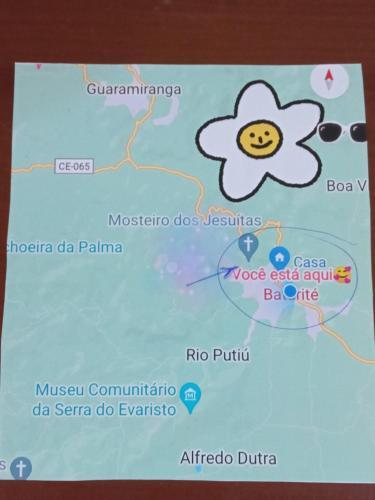 Luz E Flor