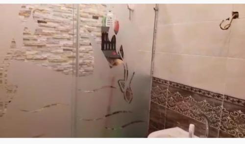 Apartamento ????? ?????