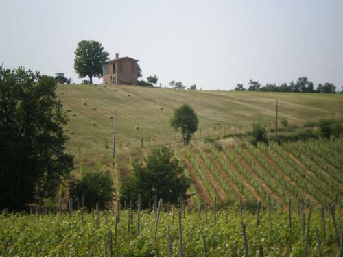 Agroturismo Cascina La Maddalena Bed & Wine