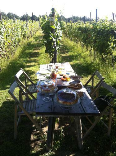 Agroturismo Cascina La Maddalena Bed & Wine
