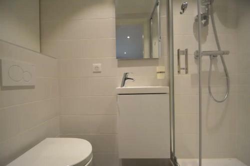 Apartamento Studio Paquier Annecy Hyper Centre Vieille Ville