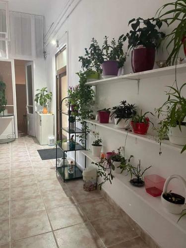 Apartamento Stella's Place