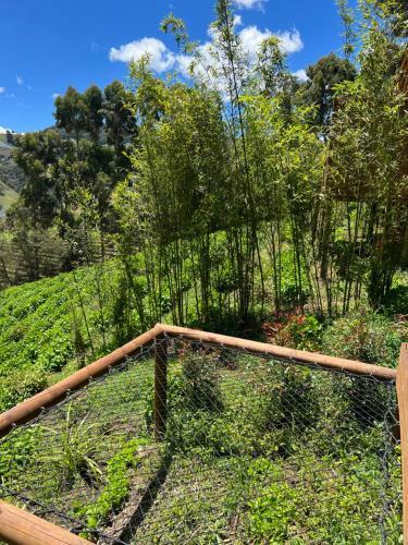 Madeira Glamping