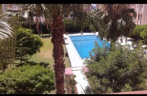 Apartamento Complexe Le Printemps
