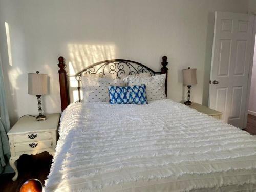 Newly Remodeled! Large Bright Modern House Central