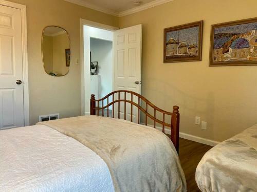 Newly Remodeled! Large Bright Modern House Central