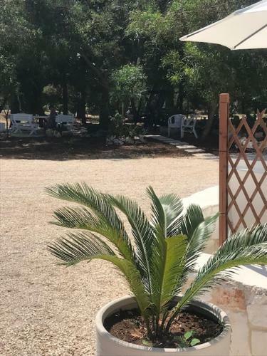 Trullo Nonna Pina