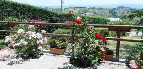 B&B Le Terrazze