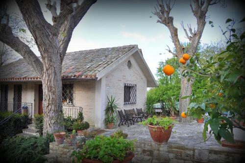Agroturismo Rustico Del Conero