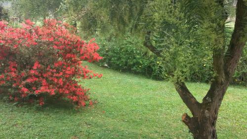 Recanto Da Natureza Chal�