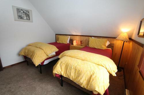 Pooches Paradise Location Elk Ave Dog Friendly