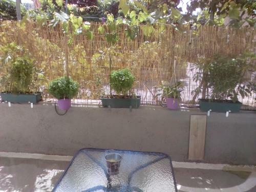 Apartamento All Seasons