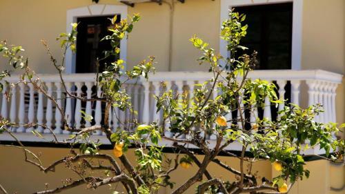 Hostal Room In Apartment - Kitro Parga Apartments