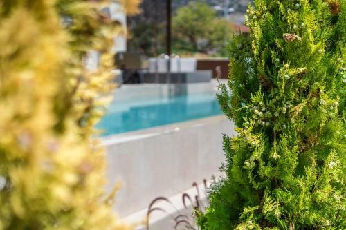 Apartamento Lango Suites