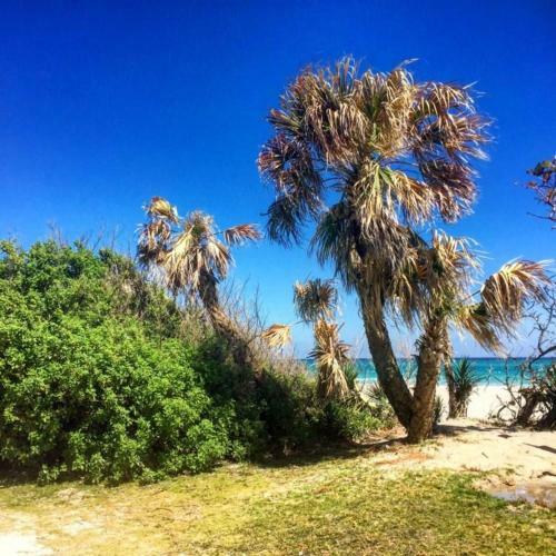 Bimini Breeze Vacation Home