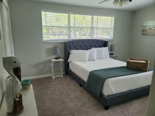 Cozy 3 Bed 2 Bath Pool Home Near Busch Gardens