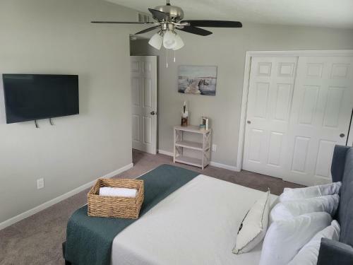 Cozy 3 Bed 2 Bath Pool Home Near Busch Gardens
