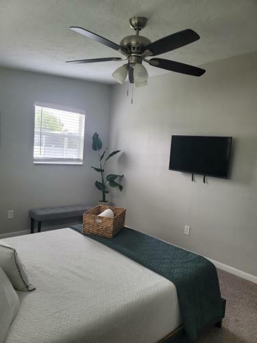 Cozy 3 Bed 2 Bath Pool Home Near Busch Gardens