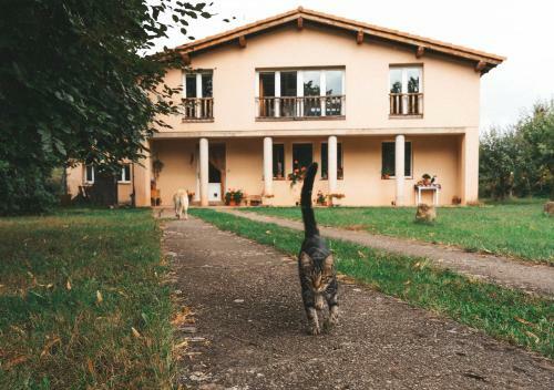 Agroturismo Casa de Campo La Solana