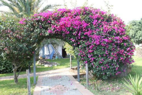 Bed & Breakfast Alhambra