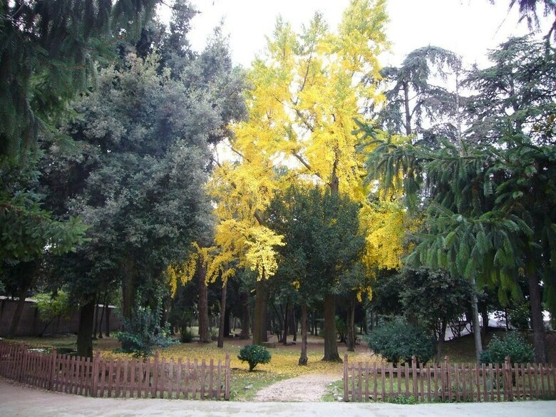 Hotel Villa Altieri