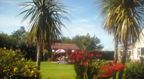 Atlantic Haven Bed & Breakfast