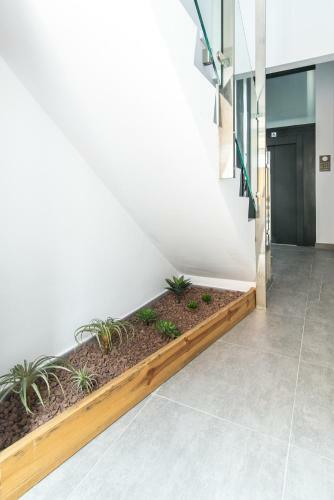 Apartamento Open Sea Suites